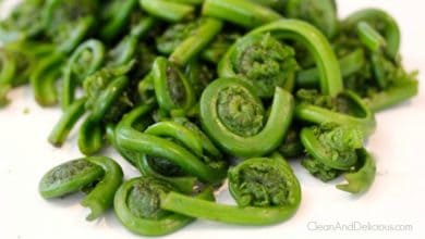 Simply Sautéed Fiddlehead Ferns