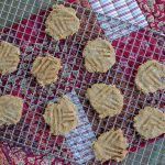 3 Ingredient Cookies (Paleo, Egg Free)