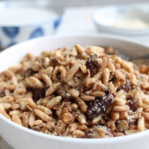 Chocolate Coconut Cereal