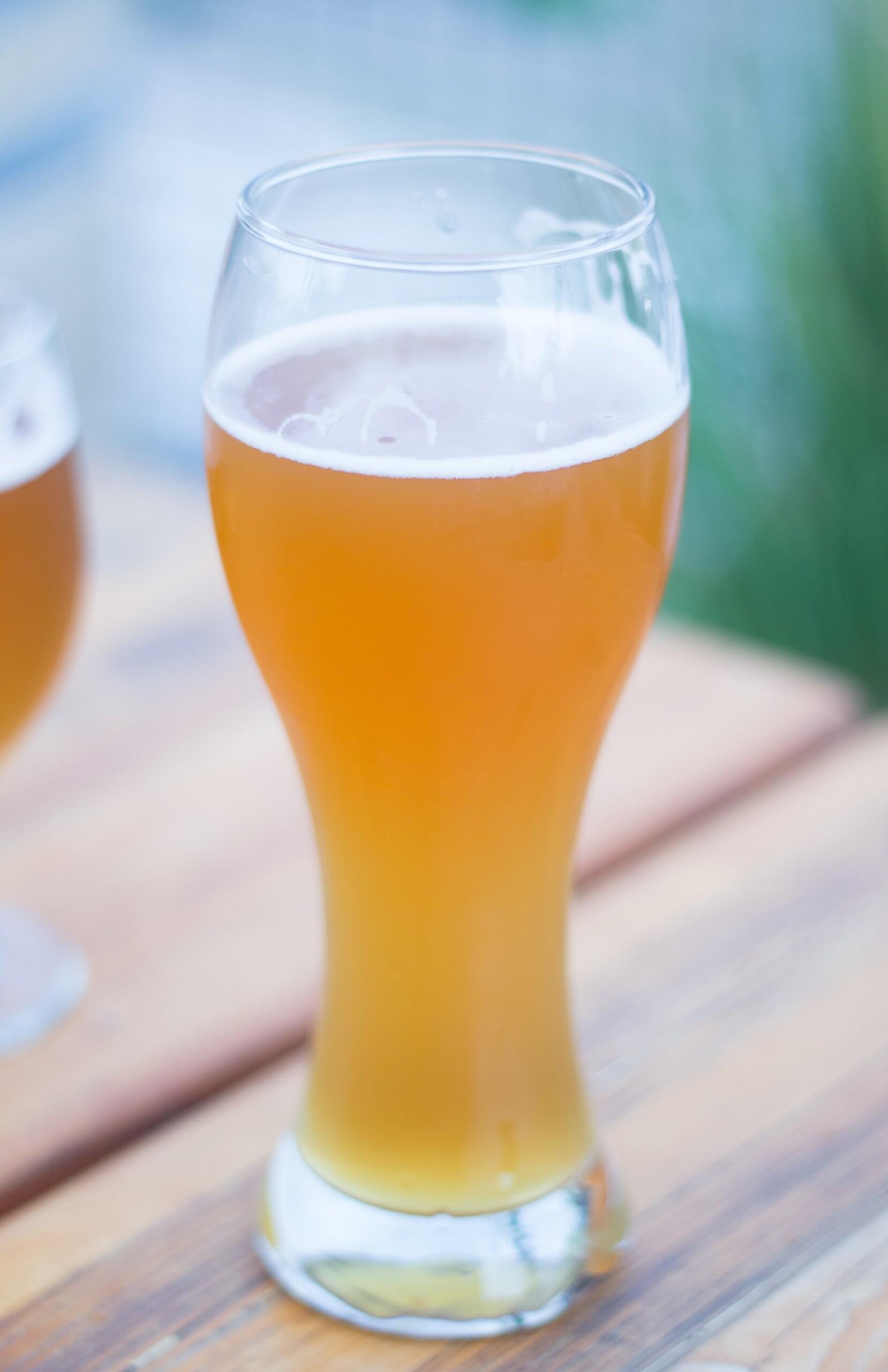Summer Shandy Beer