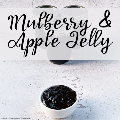 Mulberry and Apple Jelly