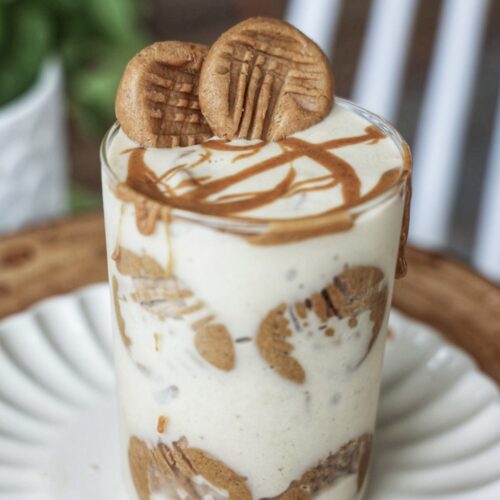Nutter Butter Nice Cream