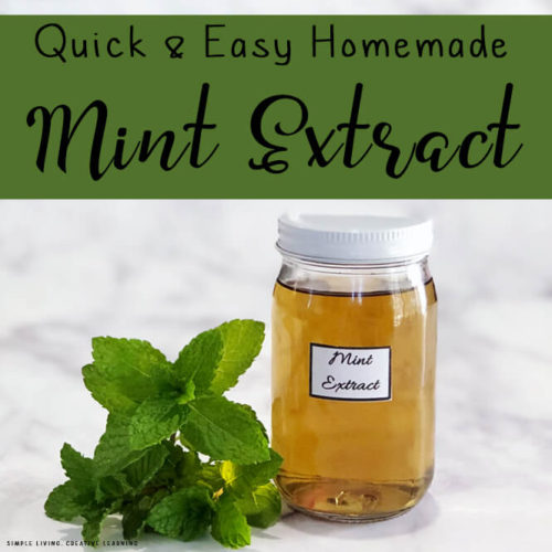 Mint Extract