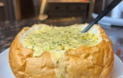 Broccoli Cheddar Soup
