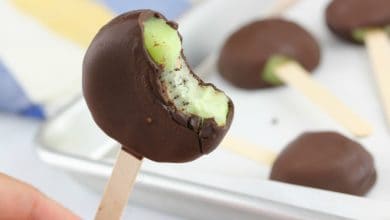 Dark Chocolate Covered Kiwi Pops