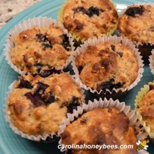 Healthy Honey Blueberry Muffins