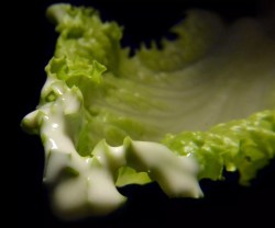 Maple Syrup Vinaigrette