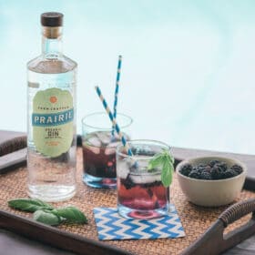Blackberry-Ginger Gin Cocktails