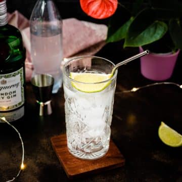 Tanqueray Gin and Tonic