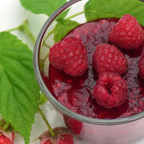 Simple Raspberry Syrup Recipe