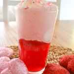 Sparkling Water Ice Cream Float