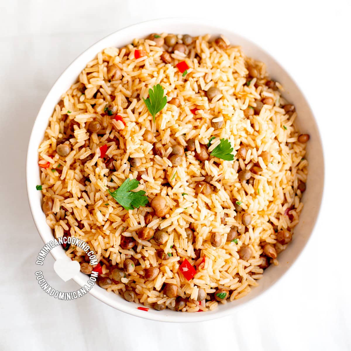 Moro de Guandules [Recipe + Video] Rice with Pigeon Peas