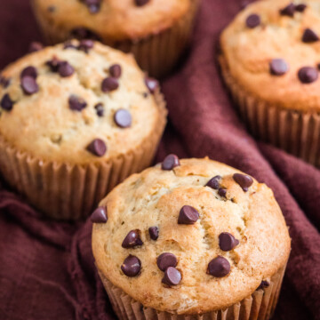 Banana Chocolate Chip Muffins