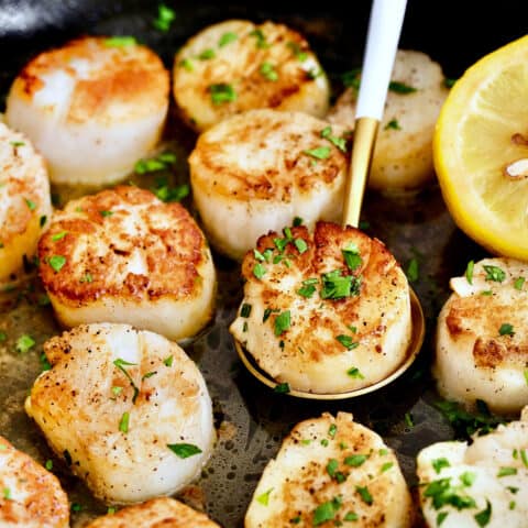 Pan Seared Scallops