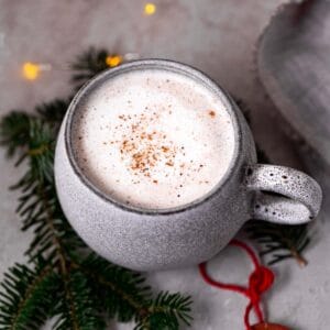 Quick Vegan Eggnog Recipe (dairy-free, egg-free)