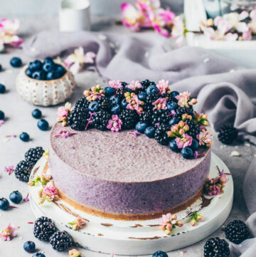 Blueberry Chia Pudding Pie | Vegan