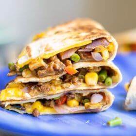 Vegan Quesadilla