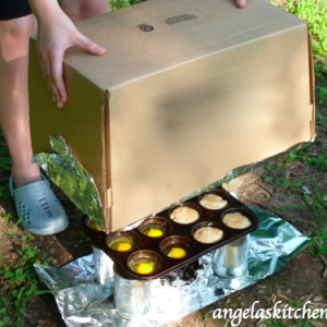 Box Oven Muffins and Eggs