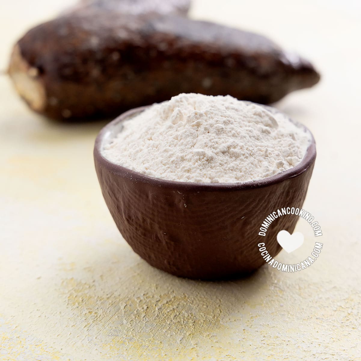 Almidon de Yuca [Recipe + Video] Cassava Starch