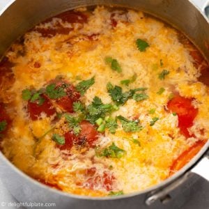 Tomato Egg Drop Soup