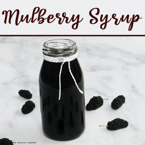 Mulberry Syrup
