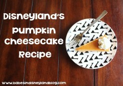 Disneyland's Pumpkin Cheesecake Recipe