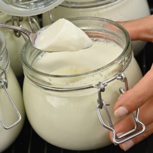Homemade Yogurt