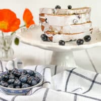 Blueberry Banana Bread