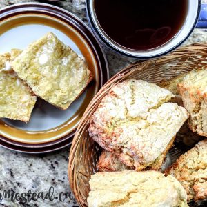 Simple Butter Scones