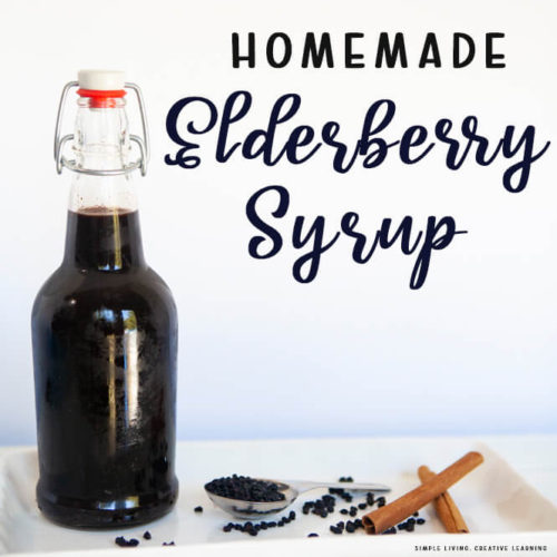 How to Make Elderberry Syrup