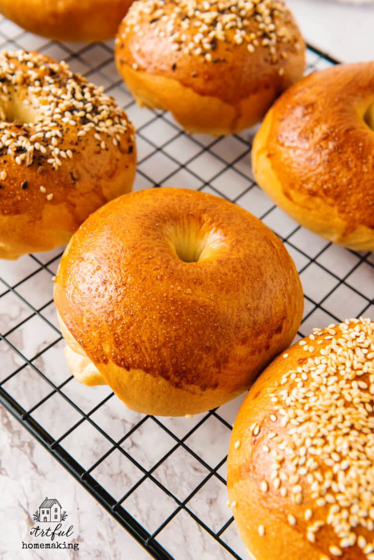 Homemade Bagel Recipe