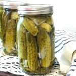 Canned Dill Pickles