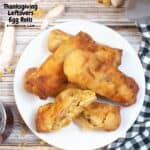 Thanksgiving Leftovers Egg Rolls