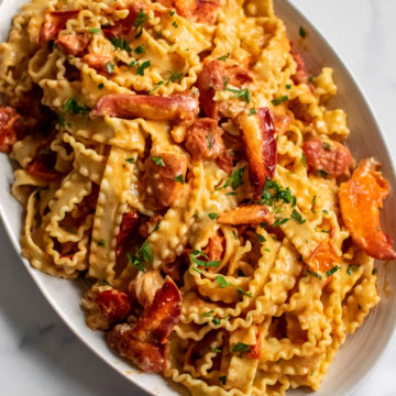 Creamy Tomato and Lobster Pasta