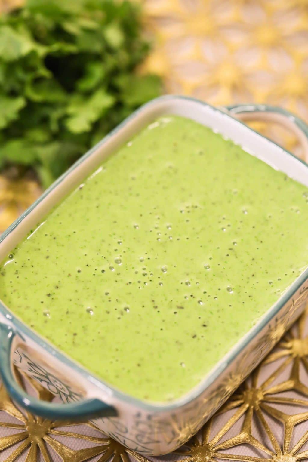 Cilantro Garlic Sauce Recipe