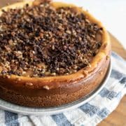 Turtle Cheesecake