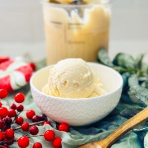 Ninja Creami Eggnog Ice Cream