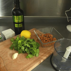 Easy Coriander Pesto