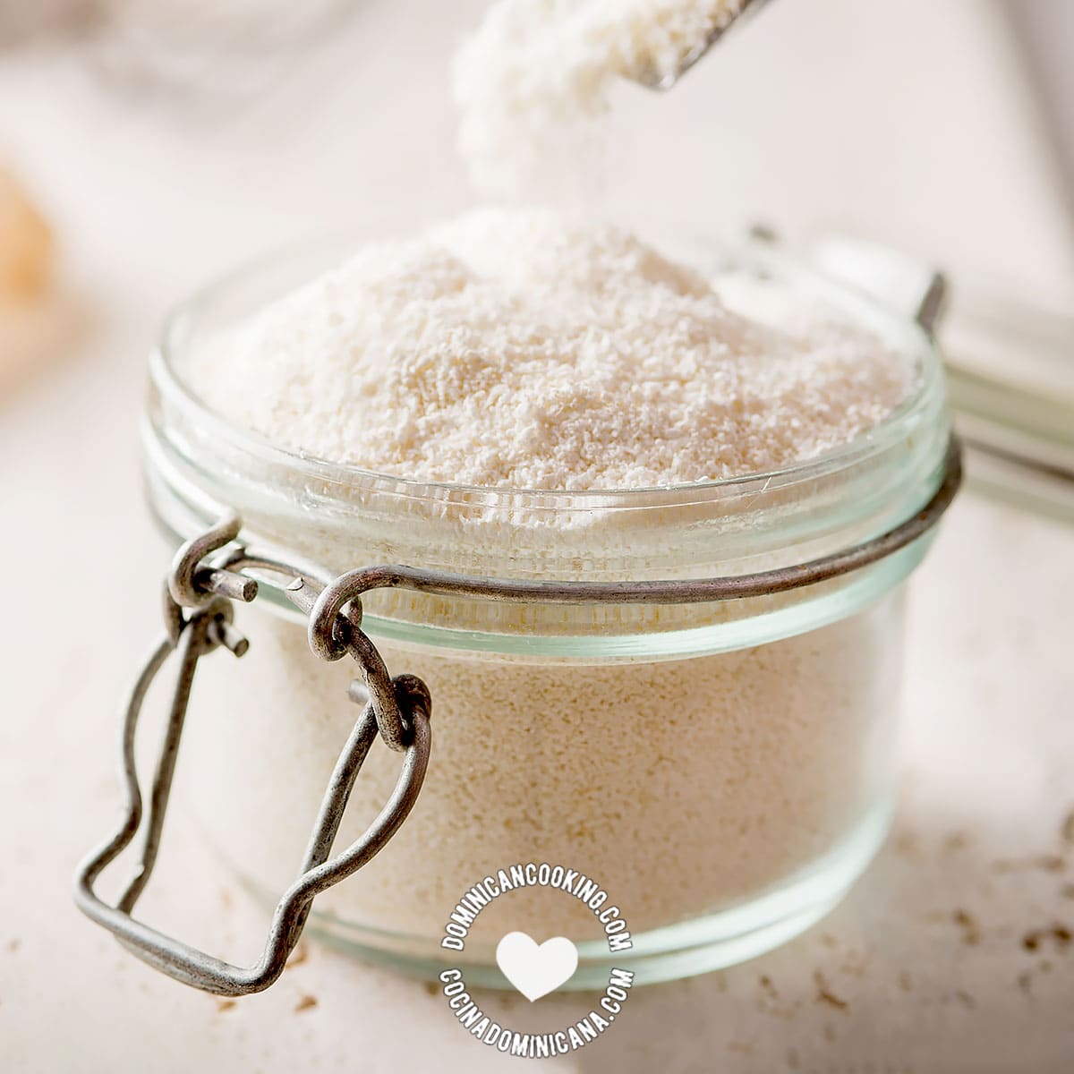 Yuca Flour [Recipe + Video] Cativía, Cassava Flour, Tapioca