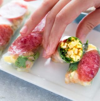 Vietnamese Fresh Spring Rolls with Jicama and Egg (Bo Bia)