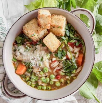 Vegetable Orzo Soup