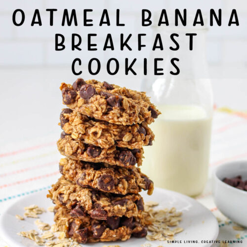 Oatmeal Banana Breakfast Cookies