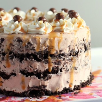 Salted Caramel Mocha Ice Cream Cake