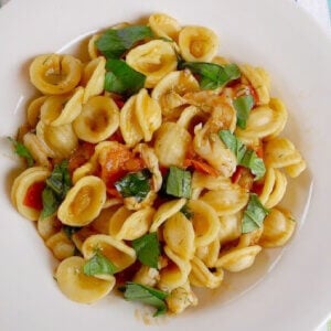 Orecchiette with Spicy Shrimp Sauce