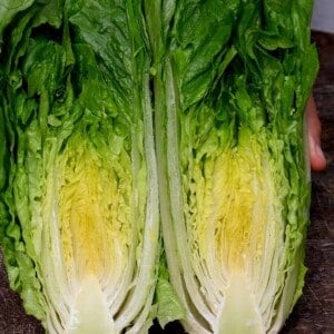 How to Cut Romaine Lettuce