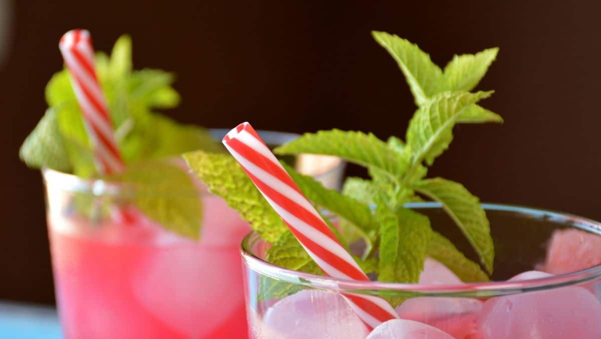Watermelon Mojito Recipe
