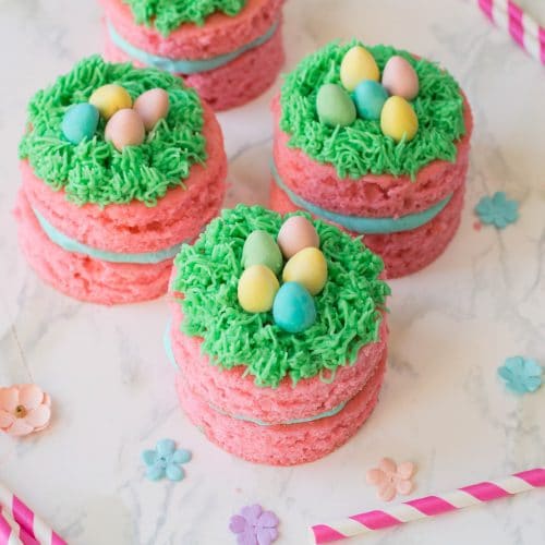 Easter Mini Cakes Recipe